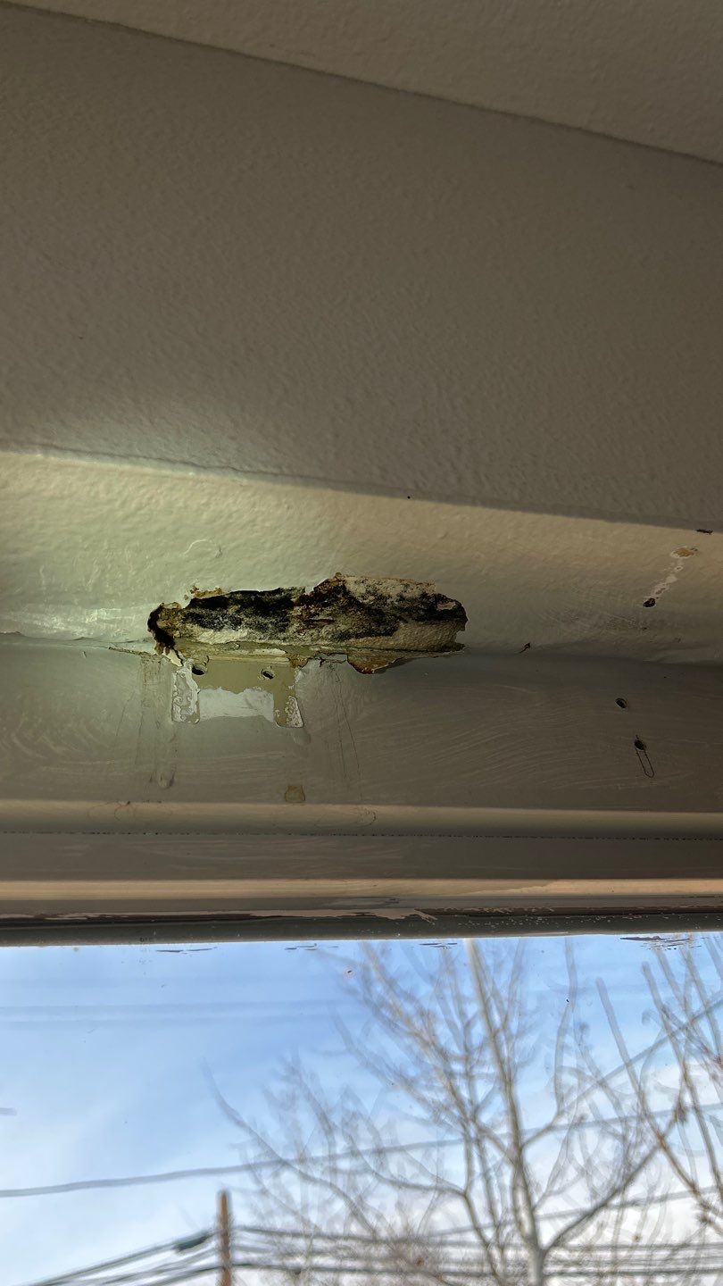 Expert Advice for a Mold and Mildew Inspection on a New Home