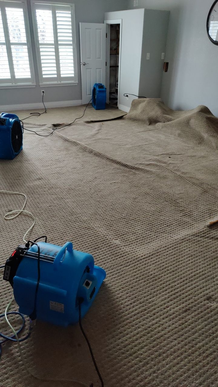 How to Clean Flooded Carpet: Assessment and Restoration