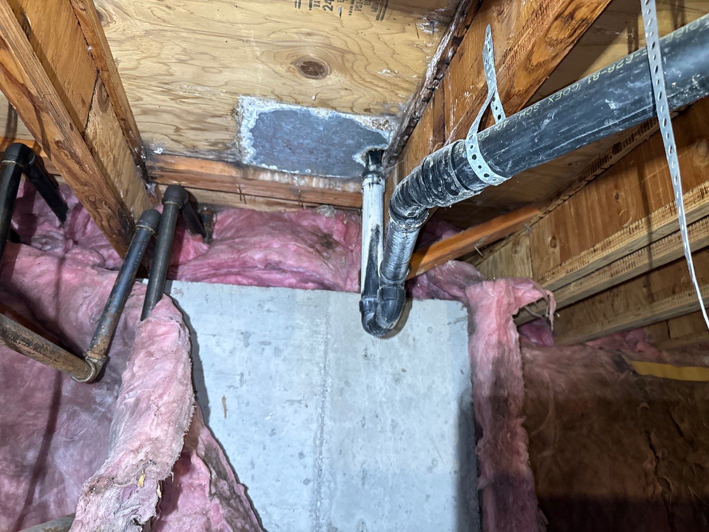 How to Prevent Mold During the Summer Months: A Comprehensive Guide for Homeowners in the Denver Area