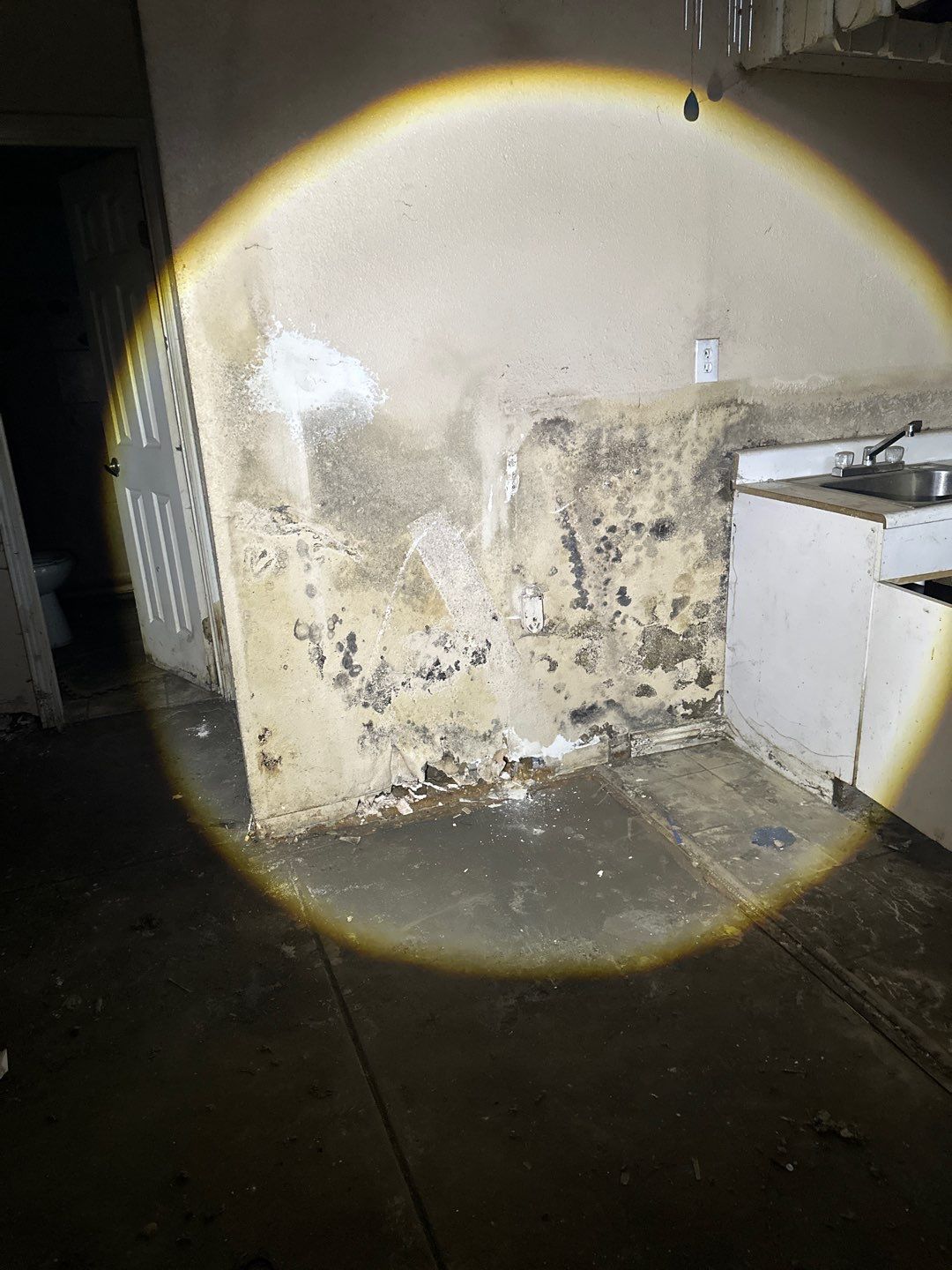 Keep Your Home Safe: Essential Summer Maintenance Tips for Tackling Mold and Mildew