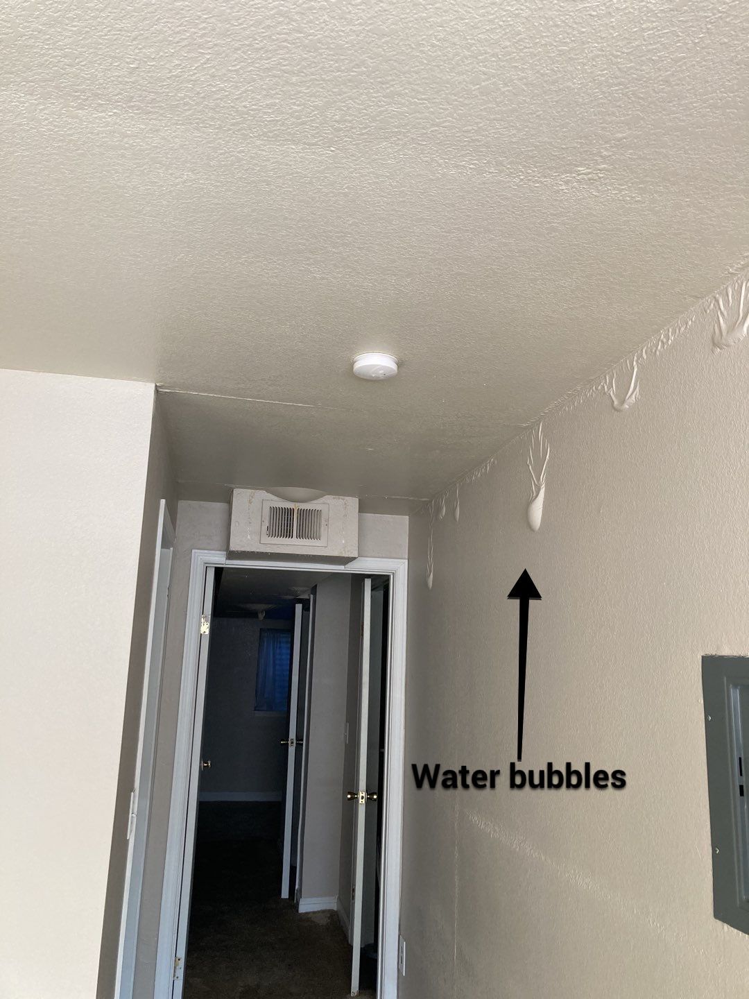 Mastering the Maze: Water Damage Restoration Insurance Claims
