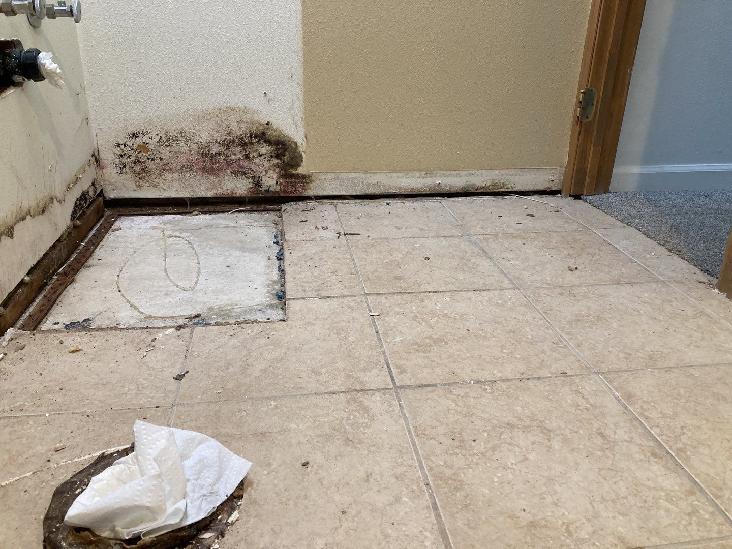 Mold Abatement Processes - What You Need to Know