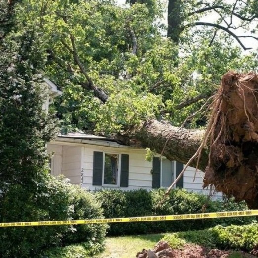 Storm Wind Damage Repair Services in Thornton, Colorado