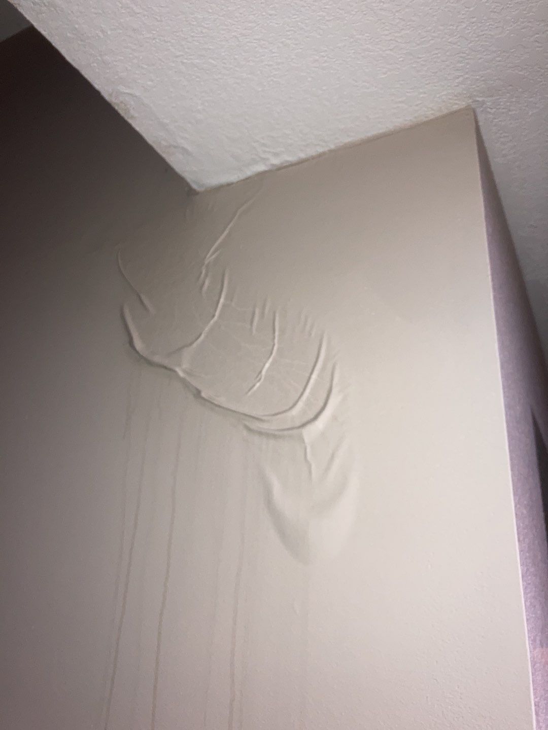 Summer Storms in Thornton: Protecting Your Home from Water Damage